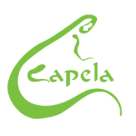 rdp-home-logo-capela
